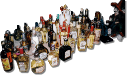 All About Tequila!